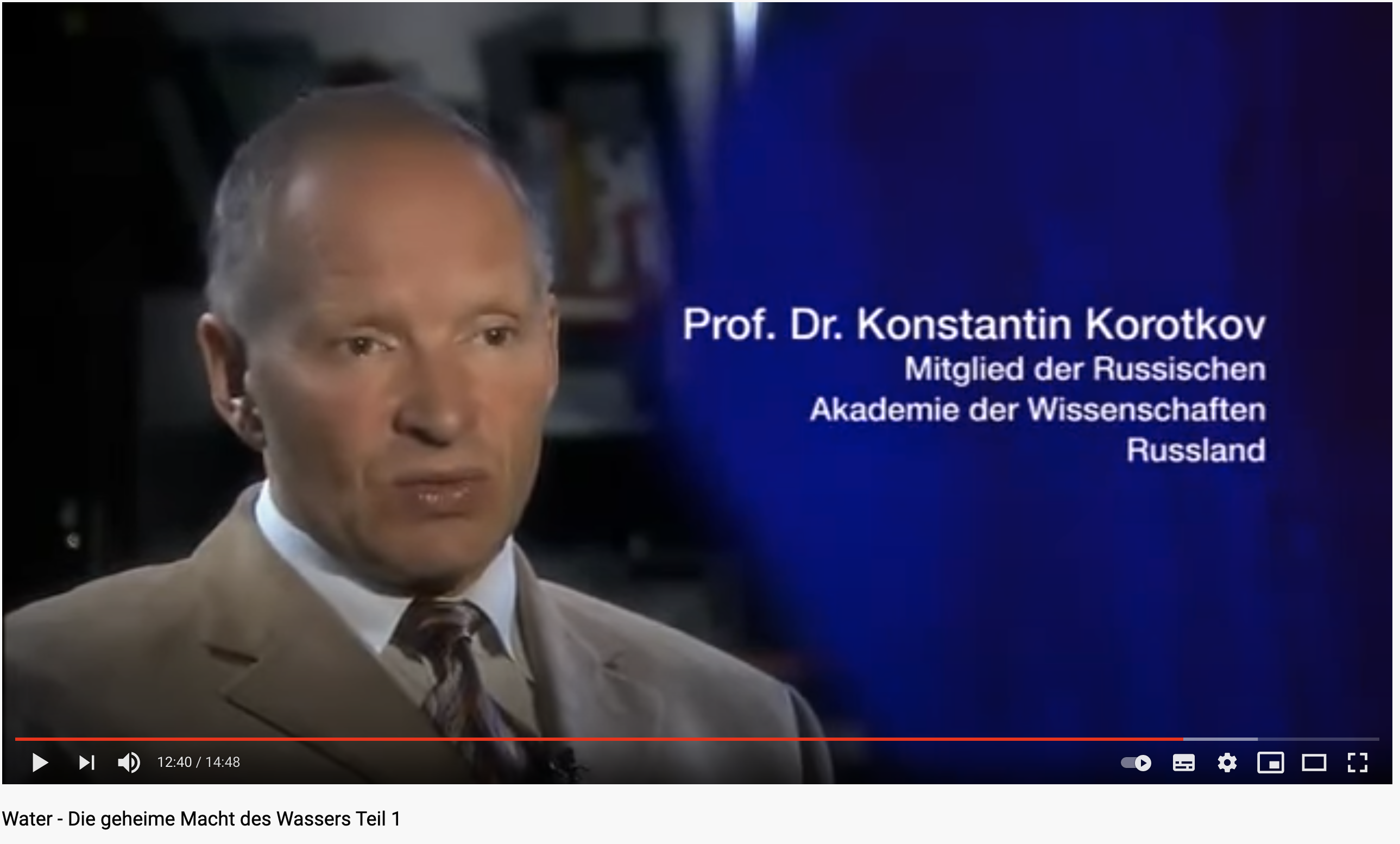 Foto von Prof. Dr. Konstantin Korotkov, Russische Akadamie der Wissenschaften