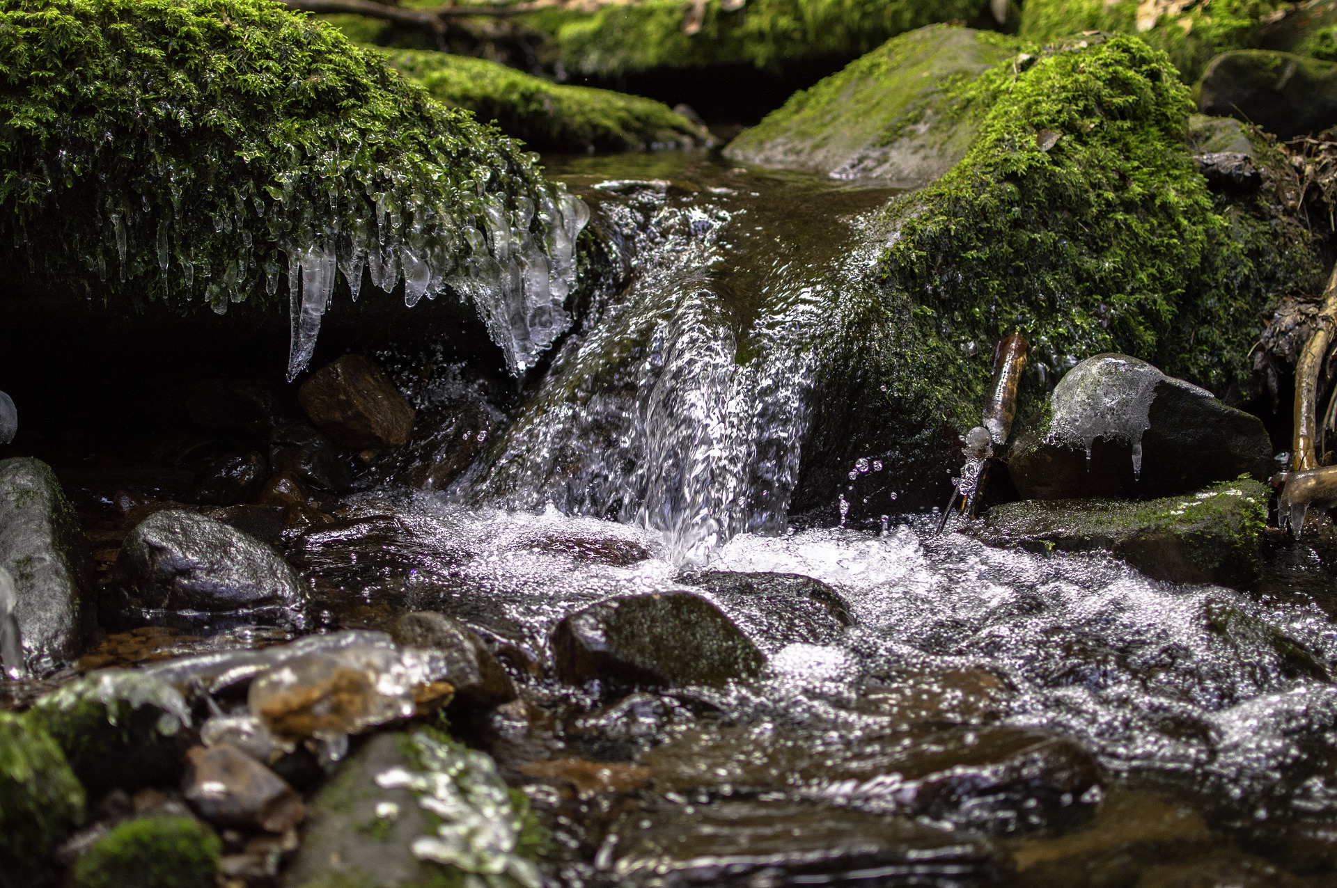 Nachaufnahme eines Baches im Wald mit moosüberwachsenen Steinen und vereinzelt, kleinen Eiszapfen, die ins Wasser hängen.