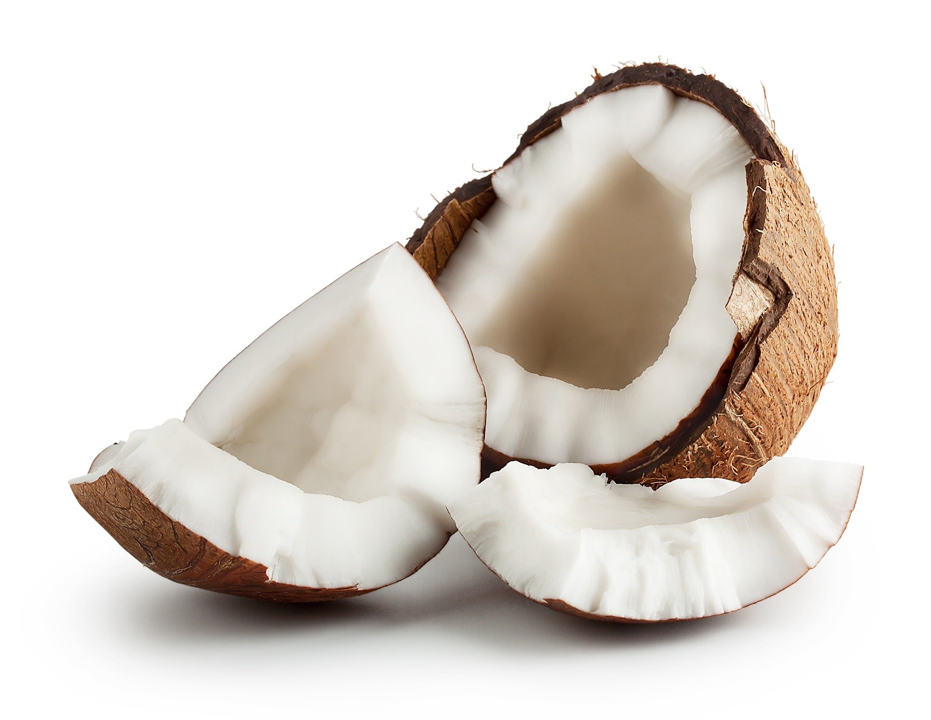 Kokosnuss