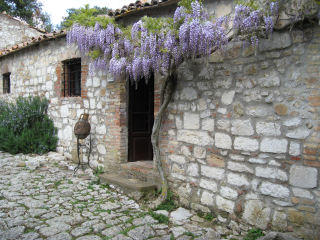 Immagine 004