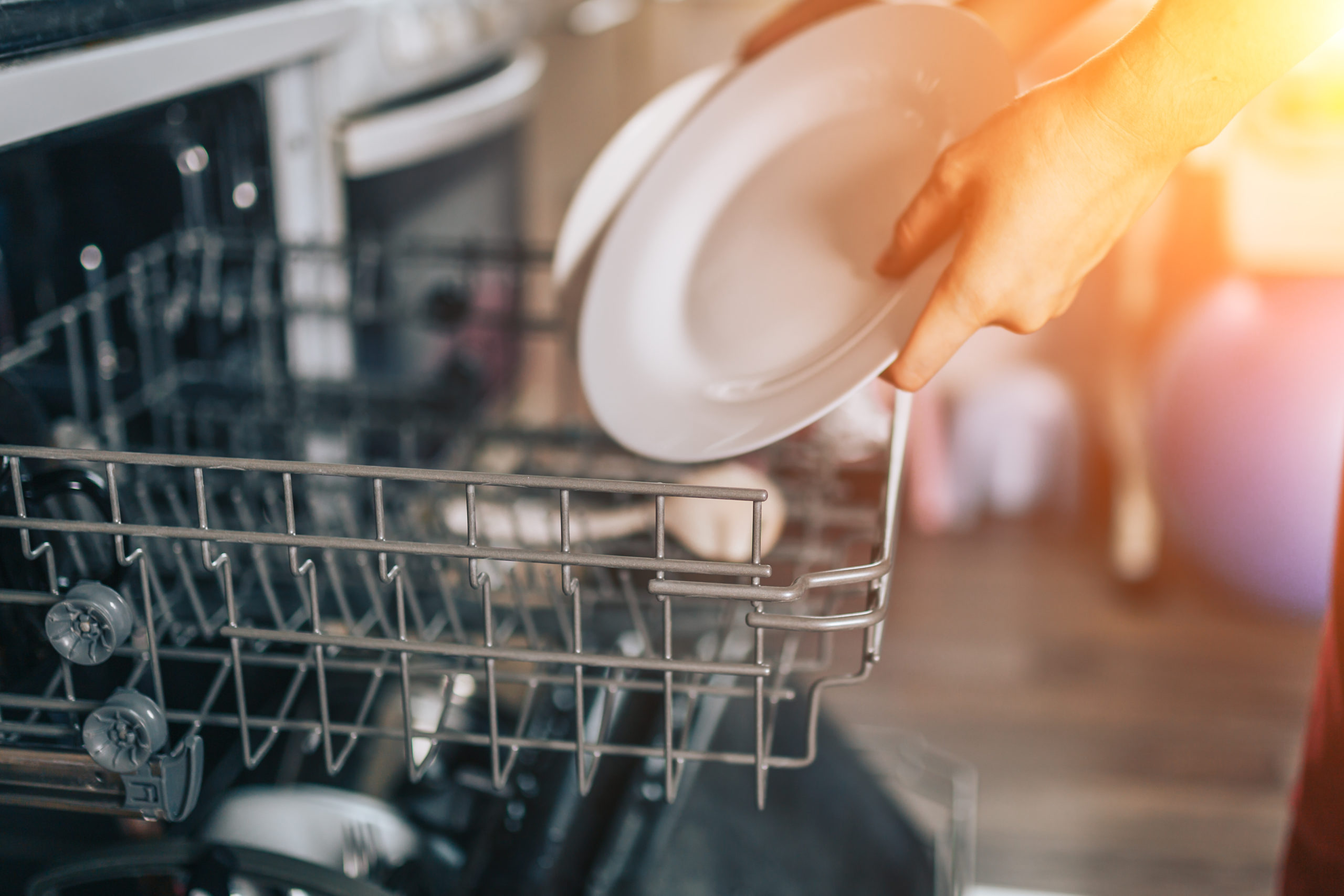 Dishwasher machine, woman hands