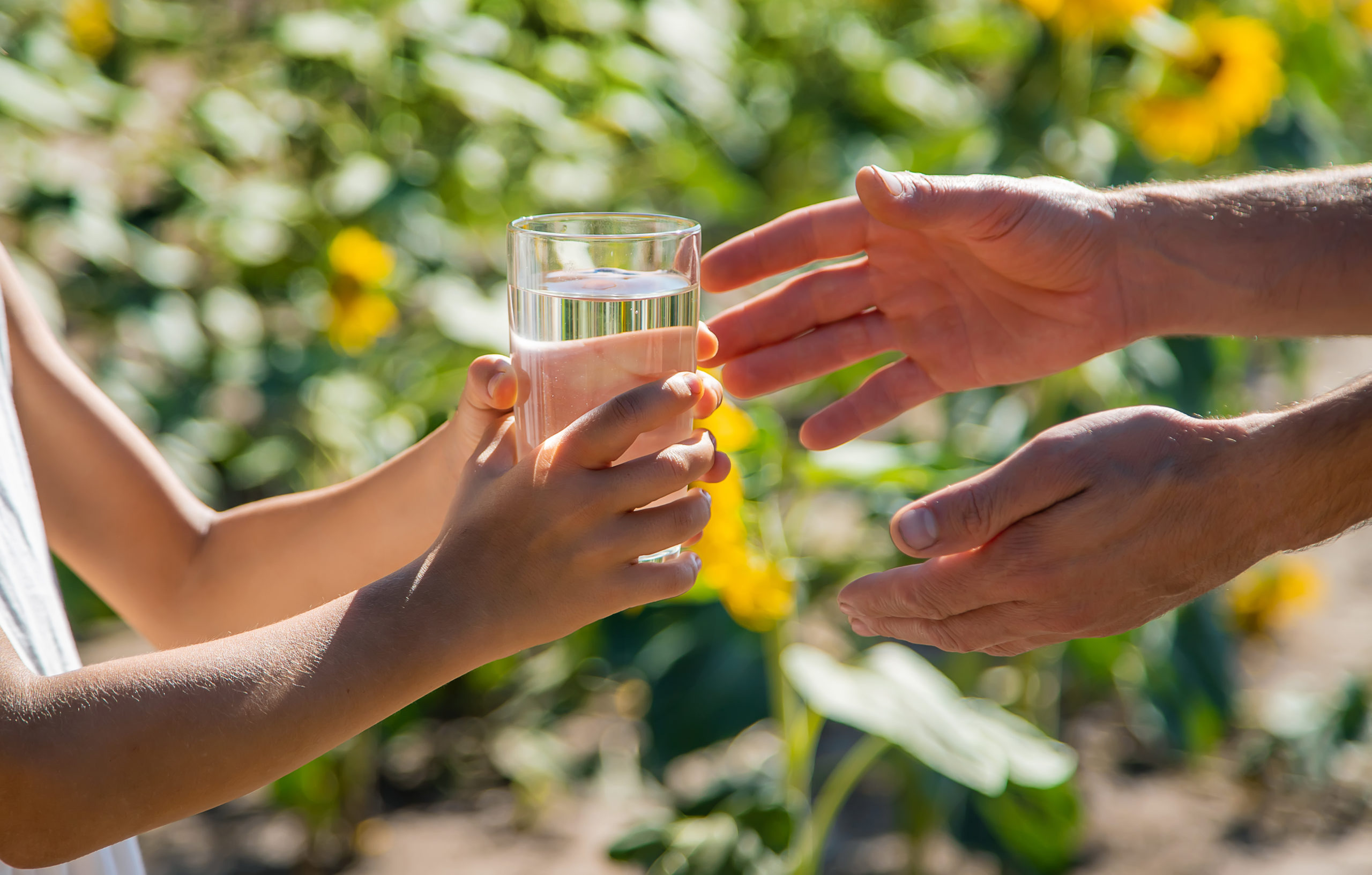 Über uns Löhnert GmbH Zu sehen sind zwei Arme von zwei Personen. Die eine Person ist ein Kind, das ein Wasserglas in seinen Händen hält. Die andere Person ist eine erwachsenen Person, die vorsichtig nach dem Wasserglas greift.